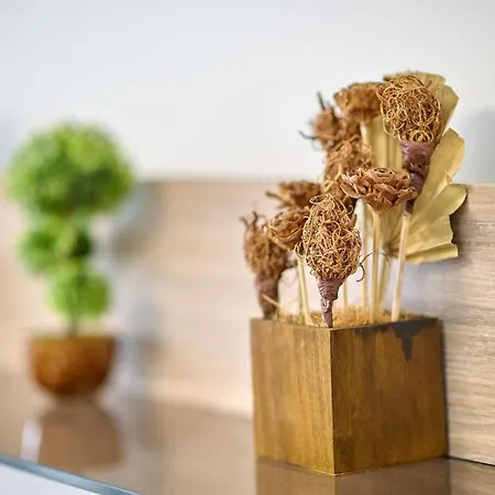 Sunset By The Sea - Pools *